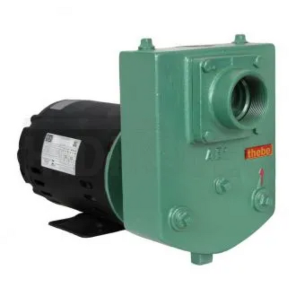 Bomba de Agua Autoescorvante Thebe AEX 1 3,0Cv Monofasico 127/220/254 Voltagens Rotor de 129mm